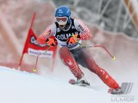 Ski Alpin  Herren Lake Louise  CAN