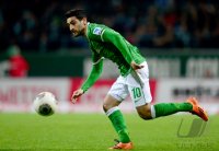 Fussball Saison 1. Bundesliga  Saison 2013/2014: SV Werder Bremen - FSV Mainz 05