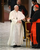 Rom Generalaudienz Papst Franziskus I.