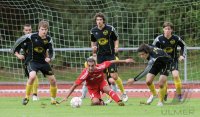 Fussball Landesliga 2010/2011