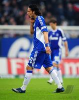 FUSSBALL 1. BUNDESLIGA: Hamburg - Schalke