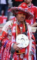 Fussball 1. Bundesliga  Saison 2015/2016: FC Bayern Muenchen Fan