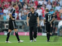 Fussball 1. Bundesliga, Saison 2011/2012:   Enttaeuschung  Hamburger SV