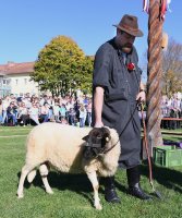 Hammeltanz 2017 Hirrlingen Jahrgang  1997/98