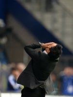 Fussball Saison 1. Bundesliga  Saison 2013/2014: Hamburger SV - SV Werder Bremen