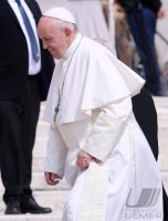 Rom Generalaudienz; Papst Franziskus I.