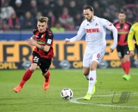 Fussball 1. Bundesliga Saison 16/17: SC Freiburg - 1. FC Koeln