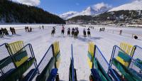 White Turf  St. Moritz 2010 FEATURE START