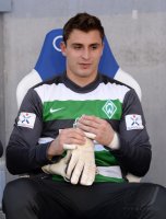 Fussball  1. Bundesliga  13/14: TSG 1899 Hoffenheim - SV Werder Bremen