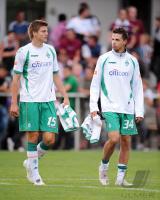 Fussball 1. Bundesliga   SV Werder Bremen: PROEDL und HARNIK