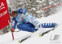 Ski Alpin; Abfahrt Training  Herren