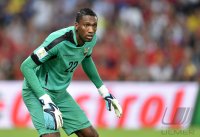 FUSSBALL WM 2014, Gruppenphase: Ecuador - Frankreich