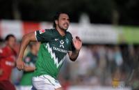Fussball 1. Bundesliga  Saison 2010/2011  ALMEIDA    (Werder Bremen)