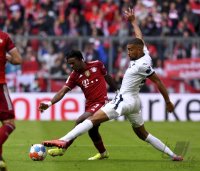 Fussball 1. Bundesliga Saison 21/22: FC Bayern Muenchen -  TSG 1899 Hoffenheim