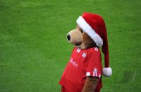 Fussball 1. Bundesliga : FCB Maskottchen Bernie