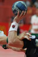 Handball 1. Bundesliga 2006/2007