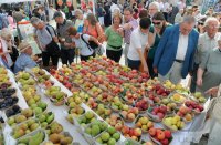 Goldener Oktober 2011 / Verkaufsoffener Sonntag in der Rottenburger Innenstadt