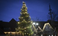 Schmuckbild; Weihnachtsbaum in Bieringen