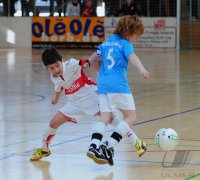 WfV Hallenrund E-Jugend 2009/2010