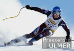 SKI   Weltcup  Abfahrt Herren ; Training;  Stephan Eberharter (AUT)