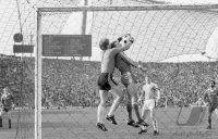 Fussball Bayern-1860: Hartmann, Rummenigge