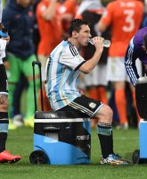 FUSSBALL WM 2014, HALBFINALE: Niederlande - Argentinien