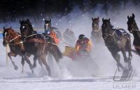 White Turf  St. Moritz 2010