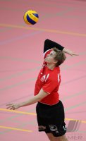 Volleyball 1. Bundesliga   Saison 2013/2014  Testspiel