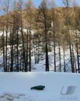 CRESTA RUN St. Moritz 2010