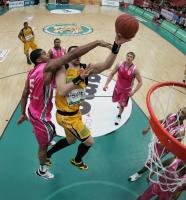 Basketball  1. Bundesliga  Walter Tigers Tuebingen -Telekom Baskets Bonn