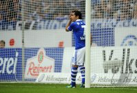 Fussball 1. Bundesliga, Saison 2011/2012: Schalke - Hoffenheim