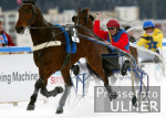 REITSPORT White Turf St. Moritz Internationales Traberrennen