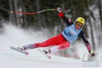 Ski Alpin; Abfahrt  Herren Beaver Creek