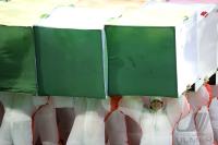 FUSSBALL EURO 2008: Schweiz - Tschechien