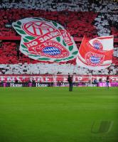 Fussball 1. Bundesliga : 110 Jahre FC Bayern Muenchen; Choreografie der FC B Fans