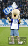 Fussball 1. Bundesliga, Schalkes Maskottchen ERWIN