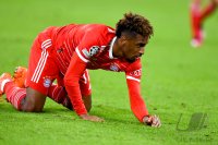 Fussball International CHL 22/23: FC Bayern Muenchen - Paris Saint-Germain