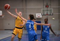 JBBL Basketball 23/24 SV03 Tuebingen Young Tigers - Rhein-Neckar Metropolitans