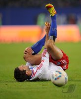 Fussball 1. Bundesliga, Saison 2011/2012: Hamburg - Hoffenheim