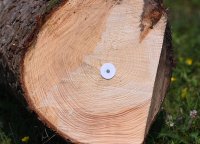 Hochschule Forstwirtschaft Rottenburg Waldwirtschaft 4.0: Digitalisierung im Prozesse der Holzernte