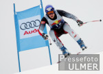 Ski Alpin;  Abfahrt Herren  Kitzbuehel