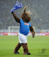 FUSSBALL 1. Bundesliga    Maskottchen HOFFI   (TSG 1899 Hoffenheim)