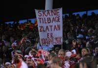 Fussball WM-Qualifikation:  DEN Fans