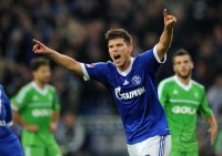 Fussball 1. Bundesliga Saison 2012/2013: FC Schalke 04 - VfL Wolfsburg