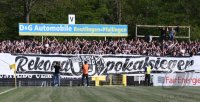Fussball WFV Pokal Halbfinale 18/19: SSV Reutlingen - SSV Ulm