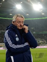 Fussball 1. Bundesliga Saison 12/13: VfL Wolfsburg - Hamburger SV