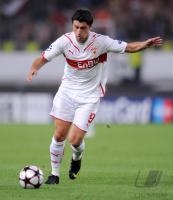 Ciprian Marica   ( VfB Stuttgart )