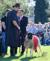 Hammeltanz 2017 Hirrlingen Jahrgang  1997/98