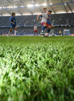 Fussball, 1. Bundesliga: Hamburg - Wolfsburg