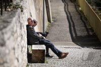 Schmuckbild Fruehling